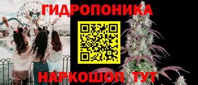 ГАЛЛЮЦИНОГЕННЫЕ ГРИБЫ Кандалакша