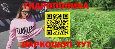 ГАЛЛЮЦИНОГЕННЫЕ ГРИБЫ Кандалакша
