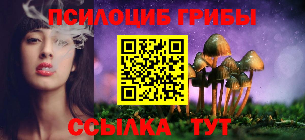 Псилоцибиновые грибы прущие грибы Крымск